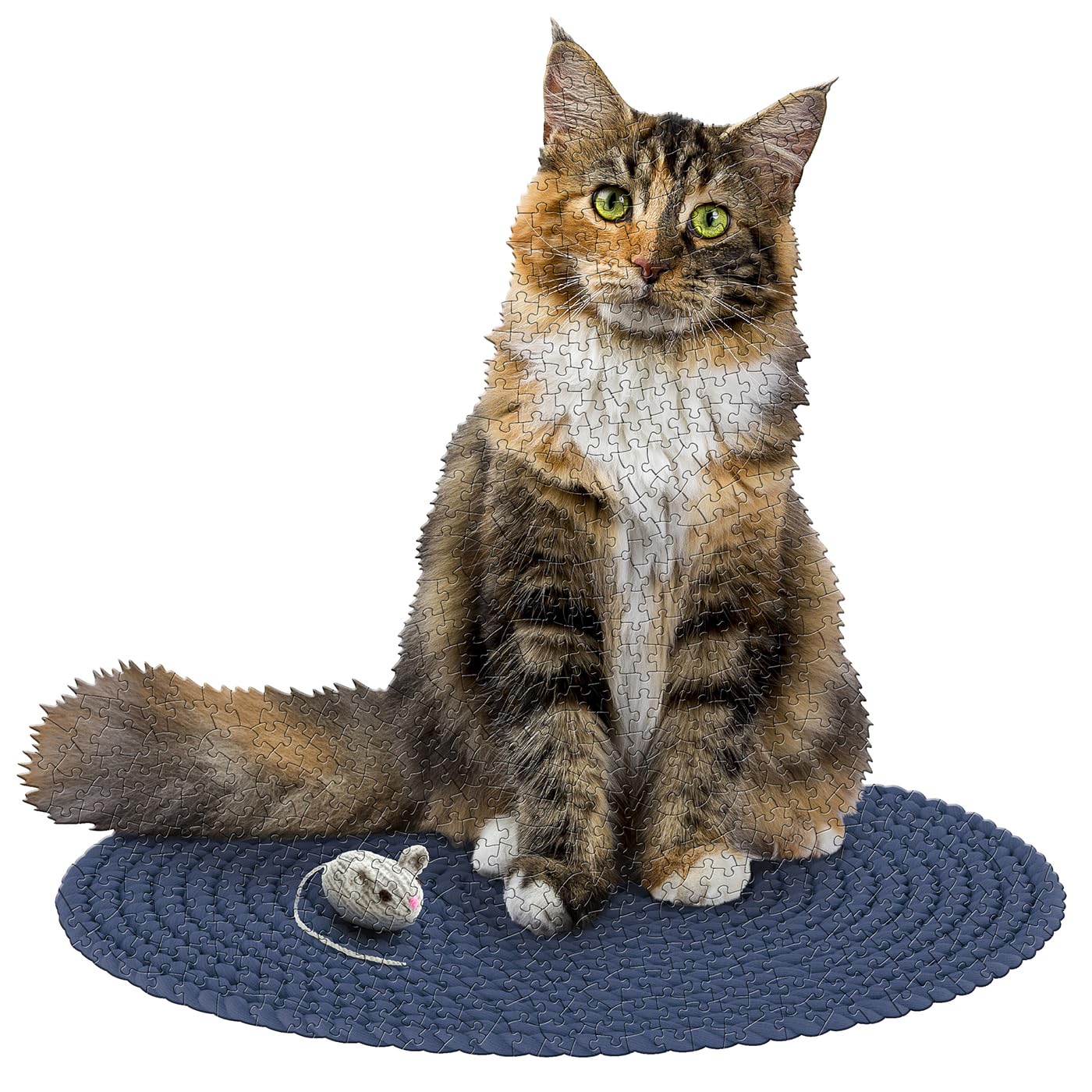 ᵔᴥᵔ犬と猫　写真ジグソーパズル　500ピース　50×75㎝ホワイト額入り完成品 ᵔᴥᵔ犬と猫の写真ジグソーパズル 500ピース 50×75㎝ホワイト額入り